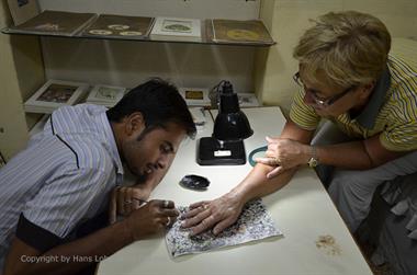 07 Miniature-Painter,_Bikaner_DSC2822_b_H600